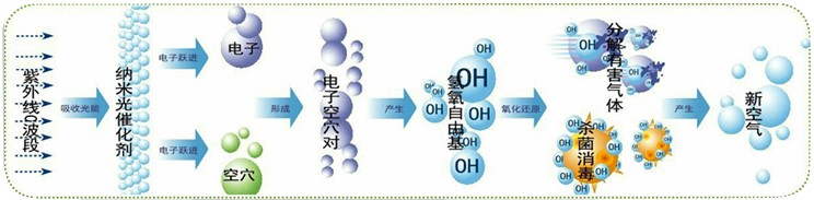 1574924918801543.jpg 1574924918801543.jpg