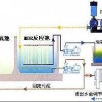 屠宰廢水處理技術(shù)解析